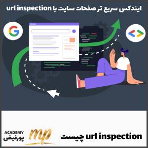 url inspection چیست