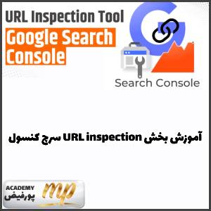 آموزش بخش URL inspection سرچ کنسول