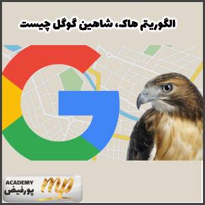 الگوریتم هاک (Hawk) شاهین گوگل چیست؟