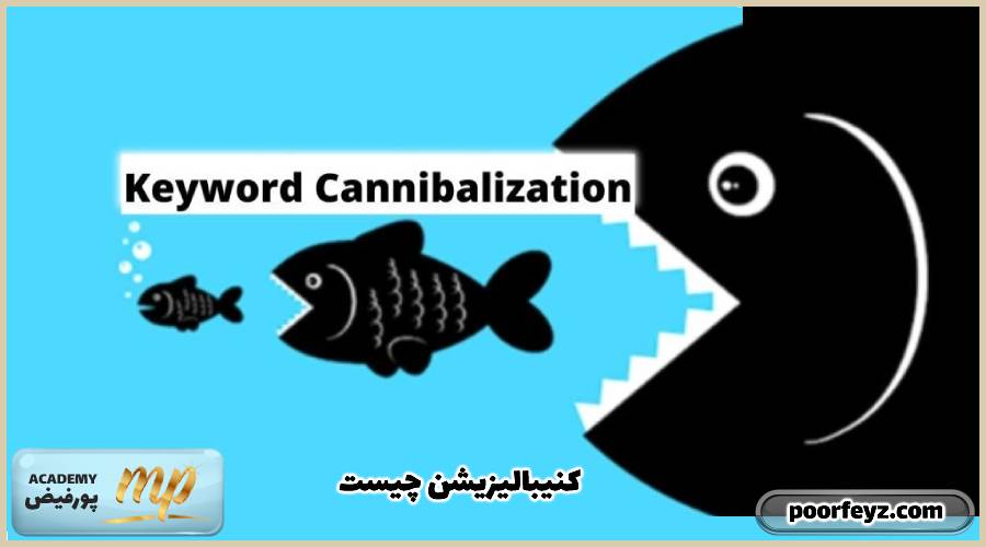 Cannibalization یا کنیبالیزیشن چیست