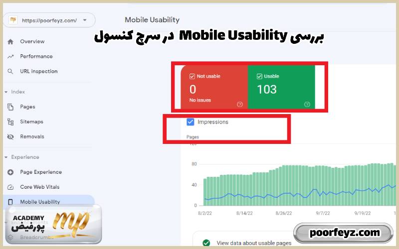 کنسول Mobile Usability بررسی